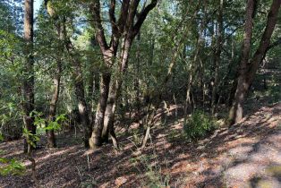 Residential Lot,  Hillside drive, Russian River, CA 95436 - 2