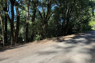 Residential Lot,  Hillside drive, Russian River, CA 95436 - 3