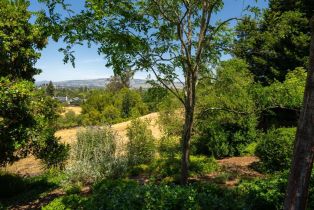 Single Family Residence,  Pinnacle drive, Petaluma, CA 94952 - 32