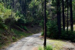 Residential Acreage,  Mountain Home Ranch road, Calistoga, CA 94515 - 17