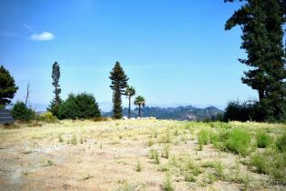 Residential Acreage,  Mountain Home Ranch road, Calistoga, CA 94515 - 7