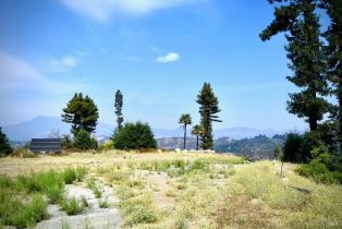 Residential Acreage,  Mountain Home Ranch road, Calistoga, CA 94515 - 8