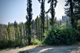 Residential Acreage,  Mountain Home Ranch road, Calistoga, CA 94515 - 11