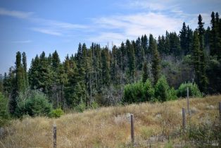 Residential Acreage,  Mountain Home Ranch road, Calistoga, CA 94515 - 6