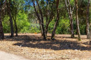 Residential Acreage,  University street, Cloverdale, CA 95425 - 6