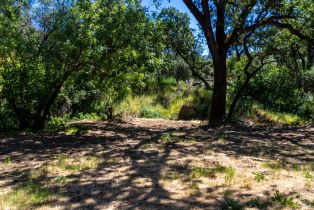 Residential Acreage,  University street, Cloverdale, CA 95425 - 3