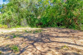 Residential Acreage,  University street, Cloverdale, CA 95425 - 7