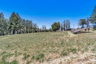 Residential Lot,  Riebli road, Santa Rosa, CA 95404 - 44