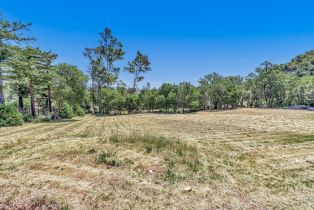 Residential Lot,  Riebli road, Santa Rosa, CA 95404 - 45