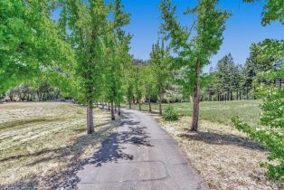 Residential Lot,  Riebli road, Santa Rosa, CA 95404 - 43