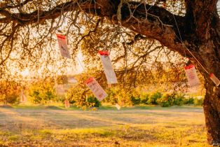 Single Family Residence,  Sonoma Mountain road, Santa Rosa, CA 95404 - 83