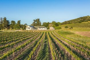 Single Family Residence,  Sonoma Mountain road, Santa Rosa, CA 95404 - 12