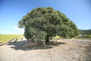 Single Family Residence,  Sonoma Mountain road, Santa Rosa, CA 95404 - 68