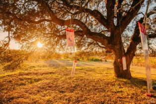 Single Family Residence,  Sonoma Mountain road, Santa Rosa, CA 95404 - 82