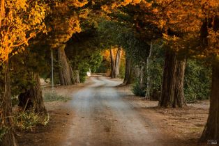 Single Family Residence,  Sonoma Mountain road, Santa Rosa, CA 95404 - 78