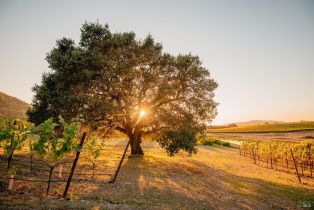 Single Family Residence,  Sonoma Mountain road, Santa Rosa, CA 95404 - 81