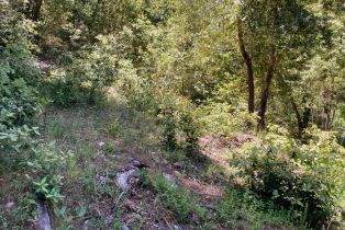 Residential Lot,  Terrace drive, Russian River, CA 95436 - 22