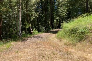 Residential Lot,  Terrace drive, Russian River, CA 95436 - 15