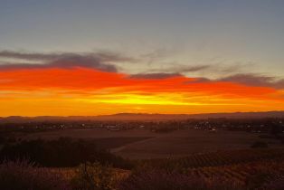 Single Family Residence,  Petaluma Hill road, Santa Rosa, CA 95404 - 58