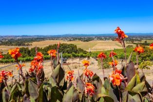 Single Family Residence,  Petaluma Hill road, Santa Rosa, CA 95404 - 71