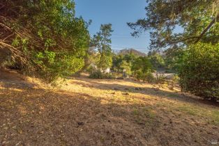 Single Family Residence,  Rose lane, Napa, CA 94574 - 16