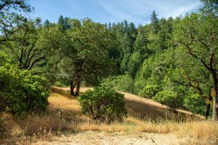 Recreation,  Wickersham Ranch road, Healdsburg, CA 95448 - 15