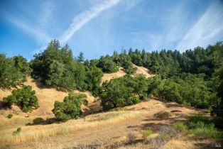 Recreation,  Wickersham Ranch road, Healdsburg, CA 95448 - 3