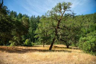 Land, 23 Wickersham Ranch Rd, Healdsburg, CA  Healdsburg, CA 95448