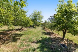 Single Family Residence,  Browns lane, Petaluma, CA 94954 - 50