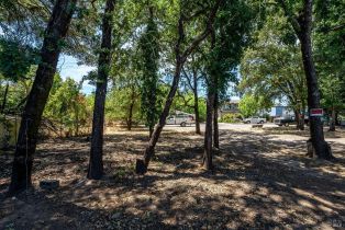 Residential Lot,  Palm #1 avenue, Healdsburg, CA 95448 - 11