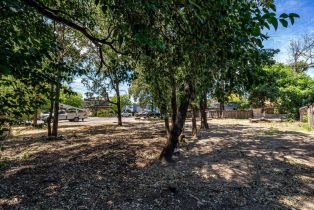 Residential Lot,  Palm #1 avenue, Healdsburg, CA 95448 - 10