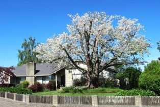 Single Family Residence,  Specht road, Sonoma, CA 95476 - 4