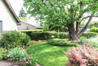 Single Family Residence,  Specht road, Sonoma, CA 95476 - 3