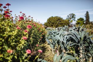 Single Family Residence,  Live Oak Farm lane, Petaluma, CA 94952 - 24