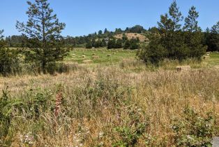 Residential Lot,  Sexton road, Sebastopol, CA 95472 - 11