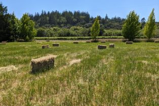 Residential Lot,  Sexton road, Sebastopol, CA 95472 - 6