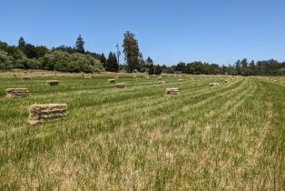 Residential Lot,  Sexton road, Sebastopol, CA 95472 - 9