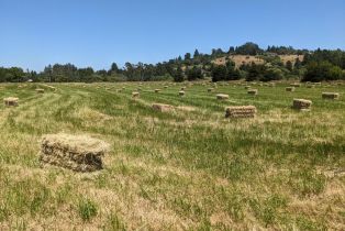 Residential Lot,  Sexton road, Sebastopol, CA 95472 - 10