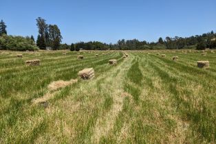 Residential Lot,  Sexton road, Sebastopol, CA 95472 - 8