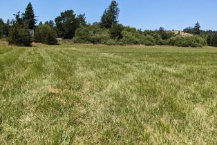 Residential Lot,  Sexton road, Sebastopol, CA 95472 - 5