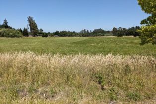 Residential Lot,  Sexton road, Sebastopol, CA 95472 - 3