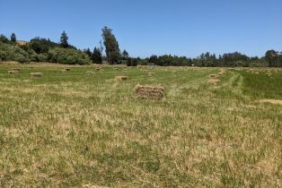 Residential Lot,  Sexton road, Sebastopol, CA 95472 - 4