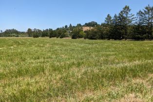 Residential Lot,  Sexton road, Sebastopol, CA 95472 - 2