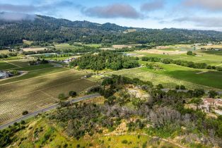 Residential Acreage,  Silverado trail, Calistoga, CA 94515 - 17