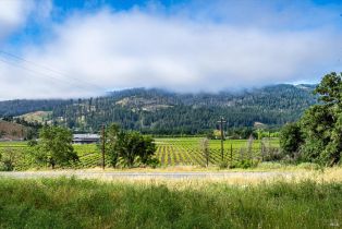 Residential Acreage,  Silverado trail, Calistoga, CA 94515 - 10