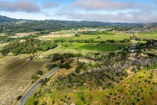 Residential Acreage,  Silverado trail, Calistoga, CA 94515 - 16