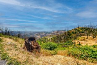 Single Family Residence,  St. Helena road, Santa Rosa, CA 95404 - 35