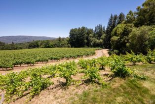 Single Family Residence,  Sonoma Mountain road, Glen Ellen, CA 95442 - 29