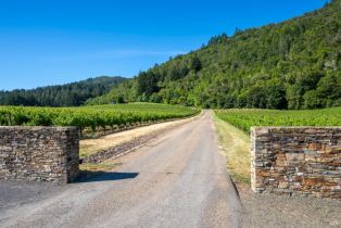 Single Family Residence,  Sonoma Mountain road, Glen Ellen, CA 95442 - 5