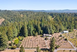 Single Family Residence,  Fiori lane, Sebastopol, CA 95472 - 51